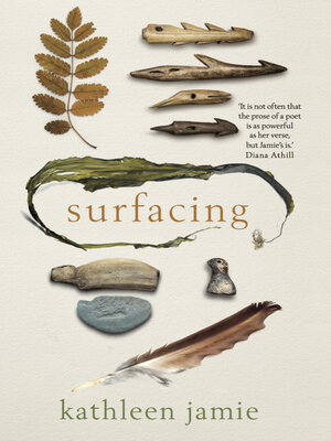 cover image of Surfacing